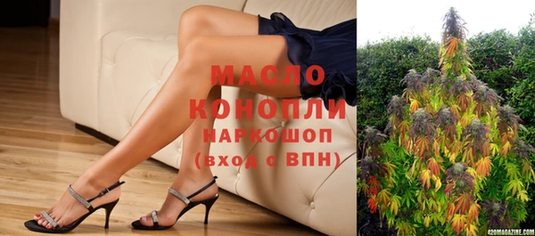твердый Дмитровск