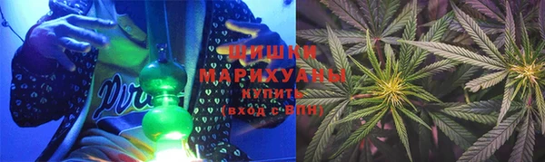 твердый Дмитровск