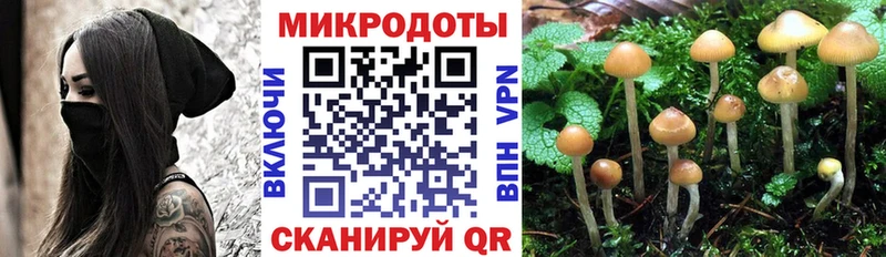 Галлюциногенные грибы Magic Shrooms  Купить где  Кирс 